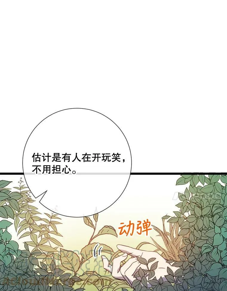 59.精灵族的客人84