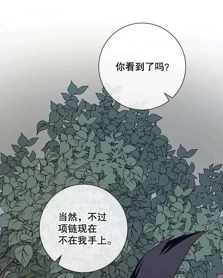 63.丢失的项链111