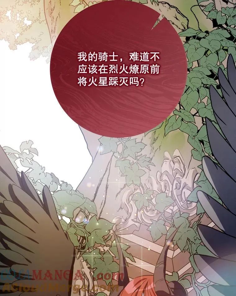 126.容器51