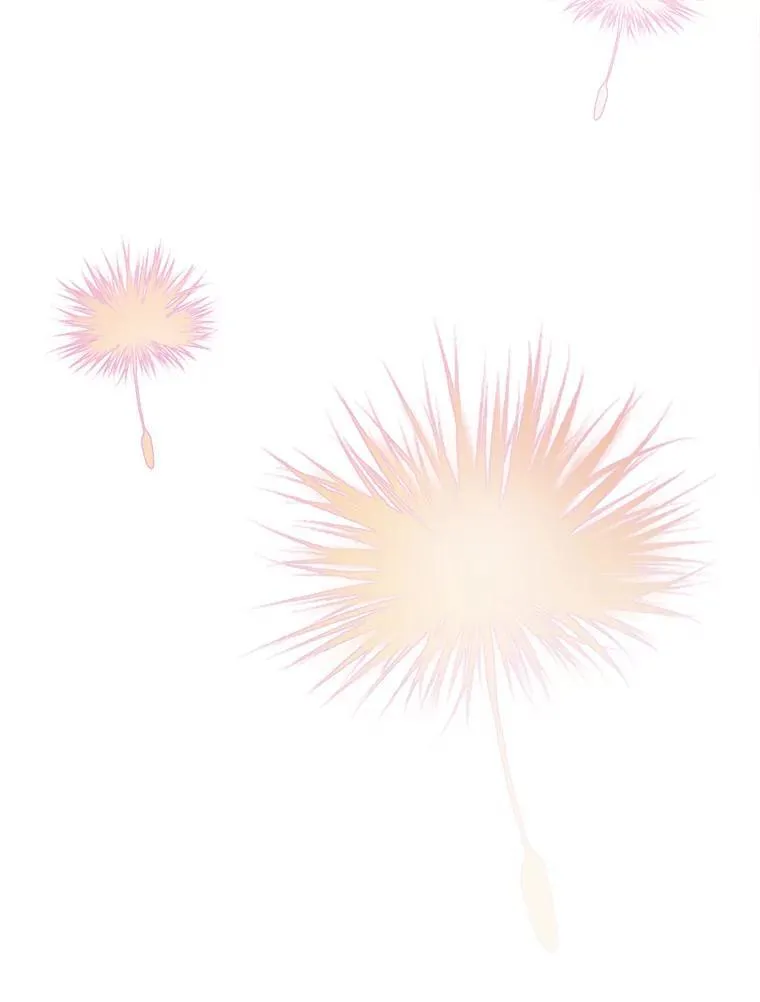 114.碎片41