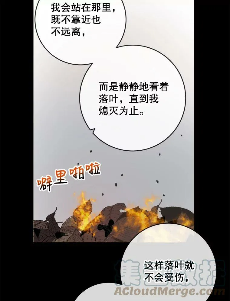 30.火焰和落叶12