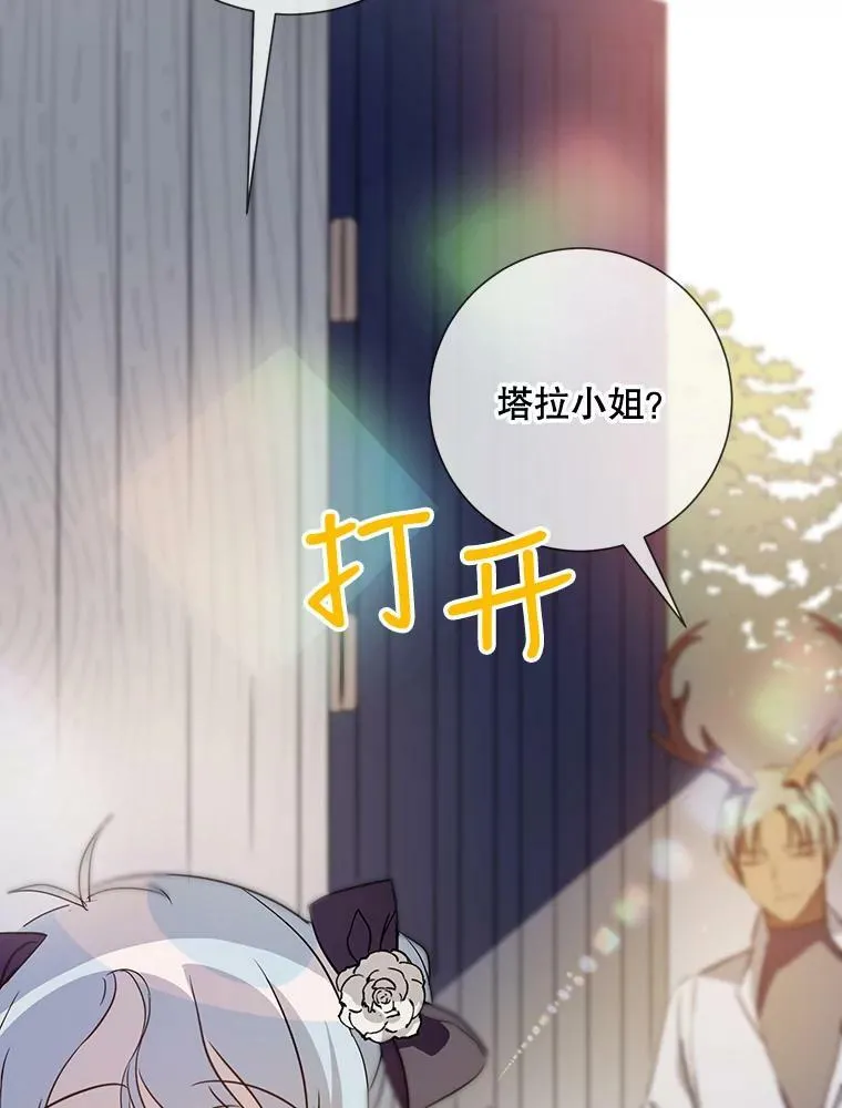 75.独角兽41