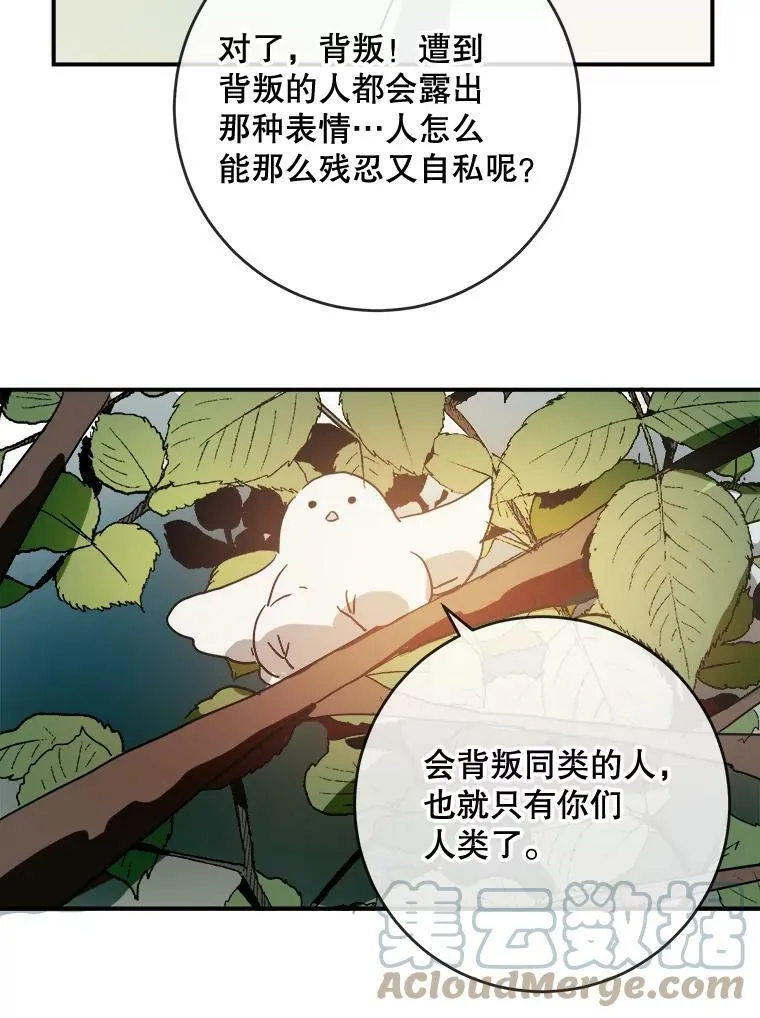 31.书里的秘密（1）45