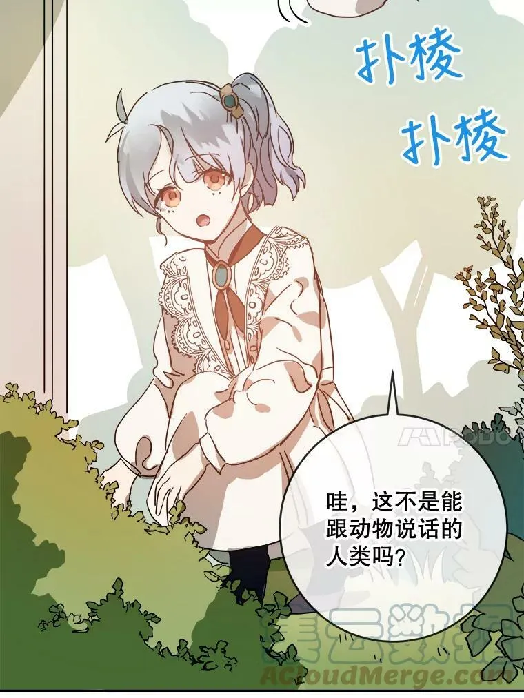 31.书里的秘密（1）36