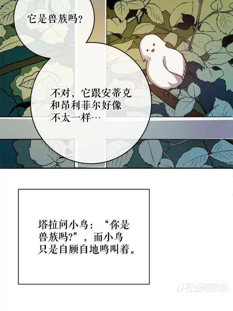 23.会说话的小鸟17