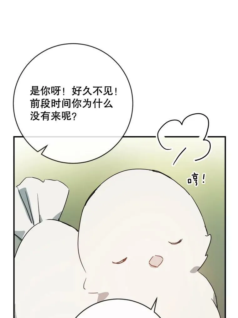31.书里的秘密（1）37