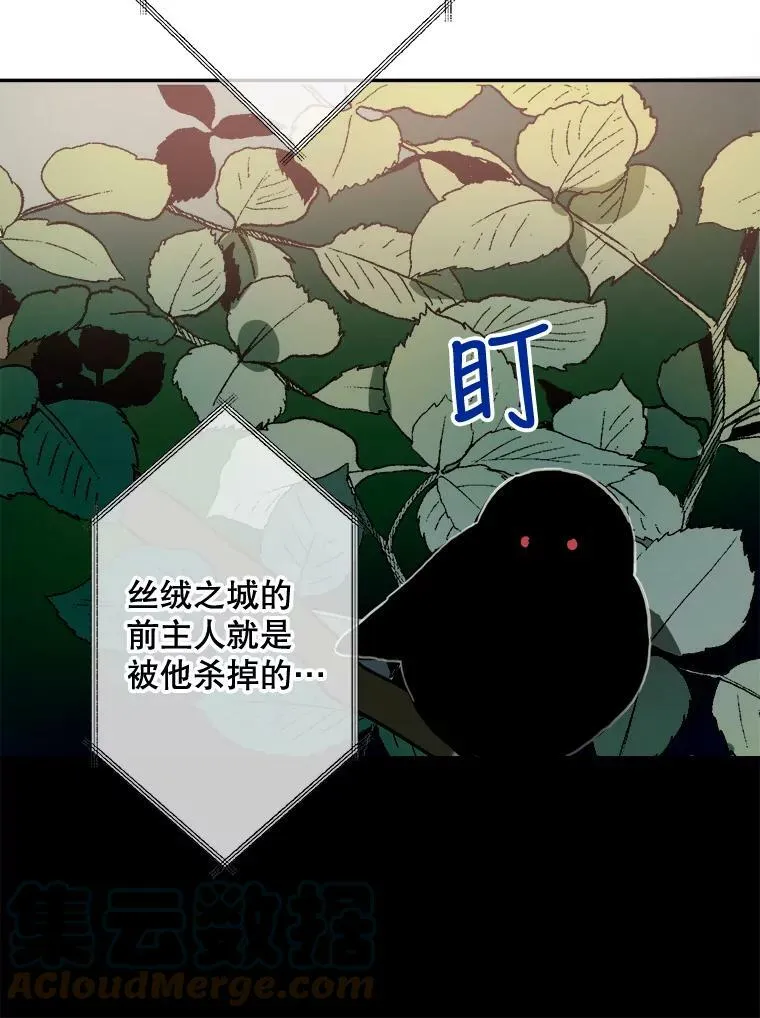 23.会说话的小鸟45