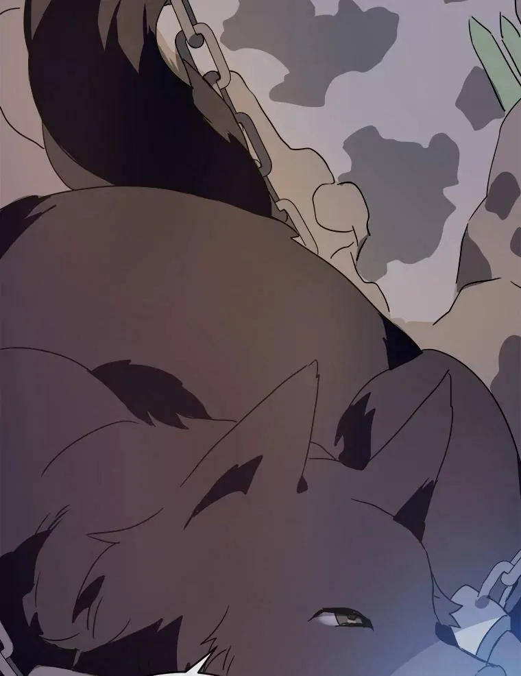 48.正面冲突（1）17