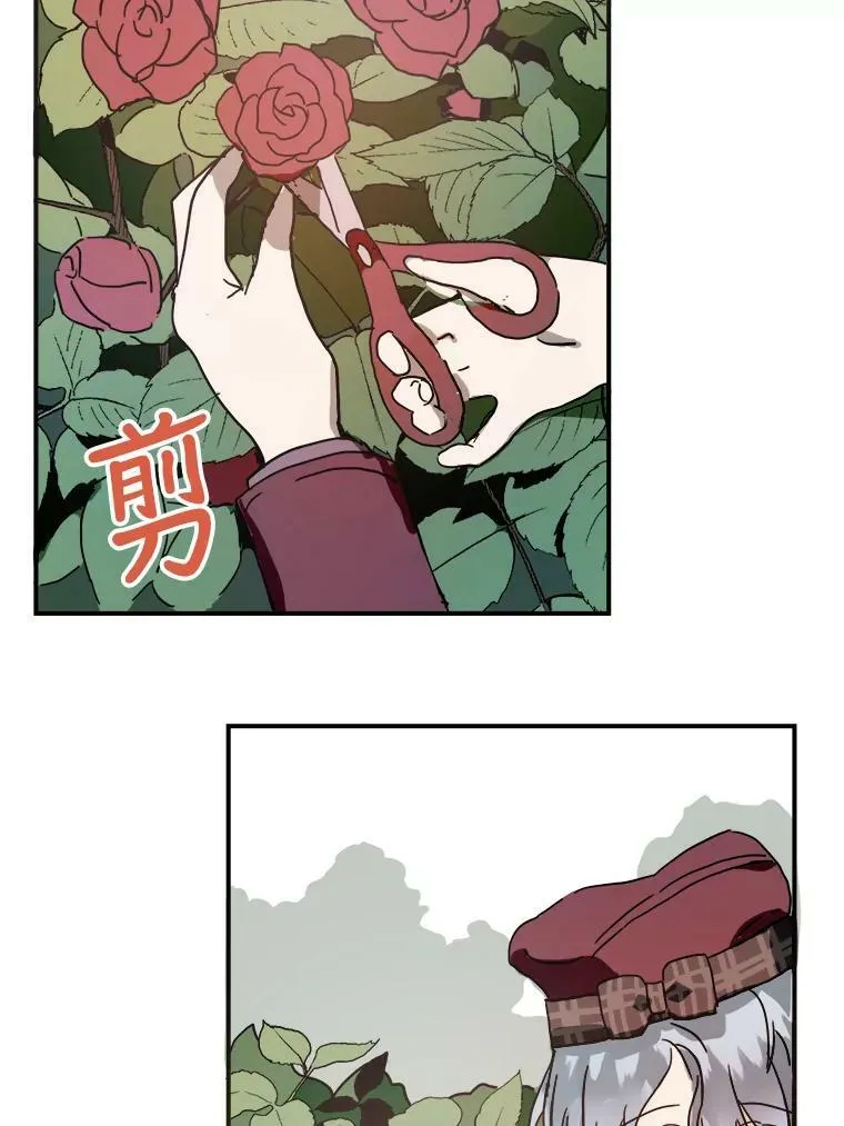 29.伤疤70