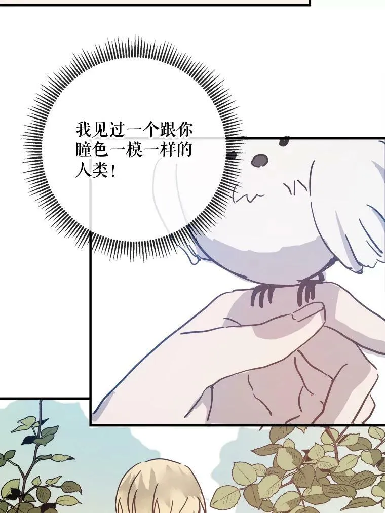 34.真实目的74