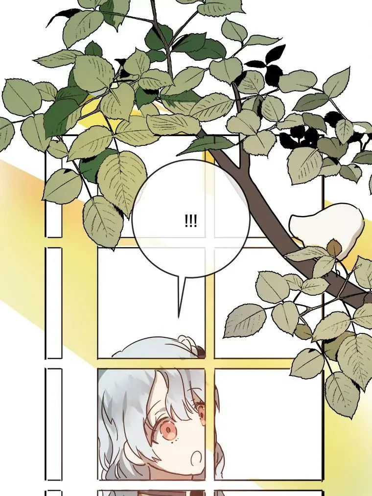 23.会说话的小鸟20