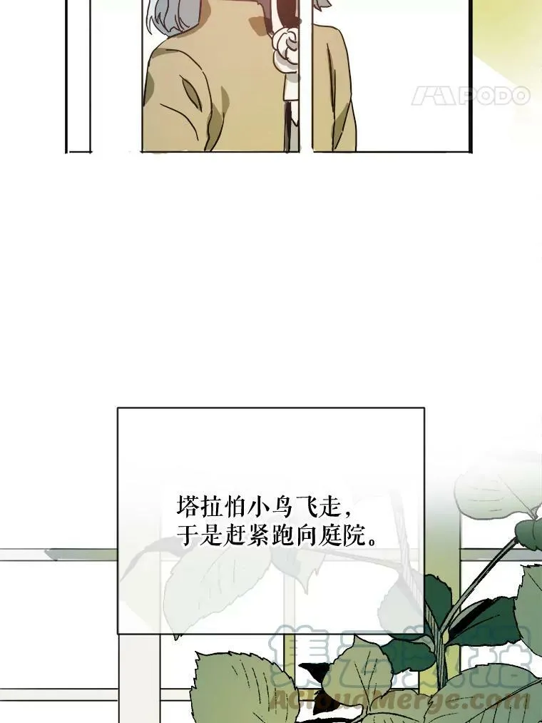 23.会说话的小鸟21