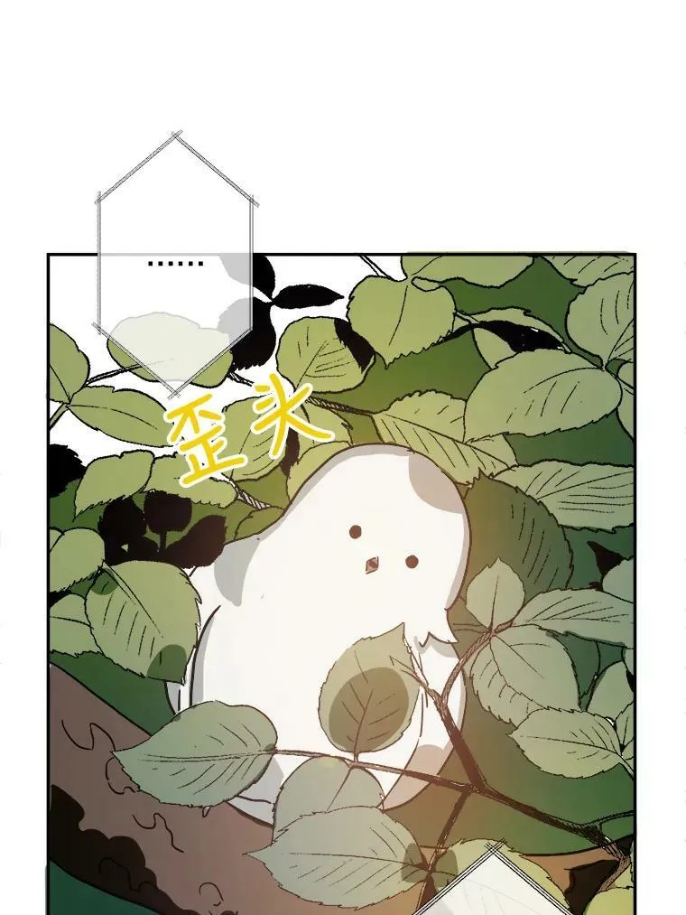 23.会说话的小鸟29