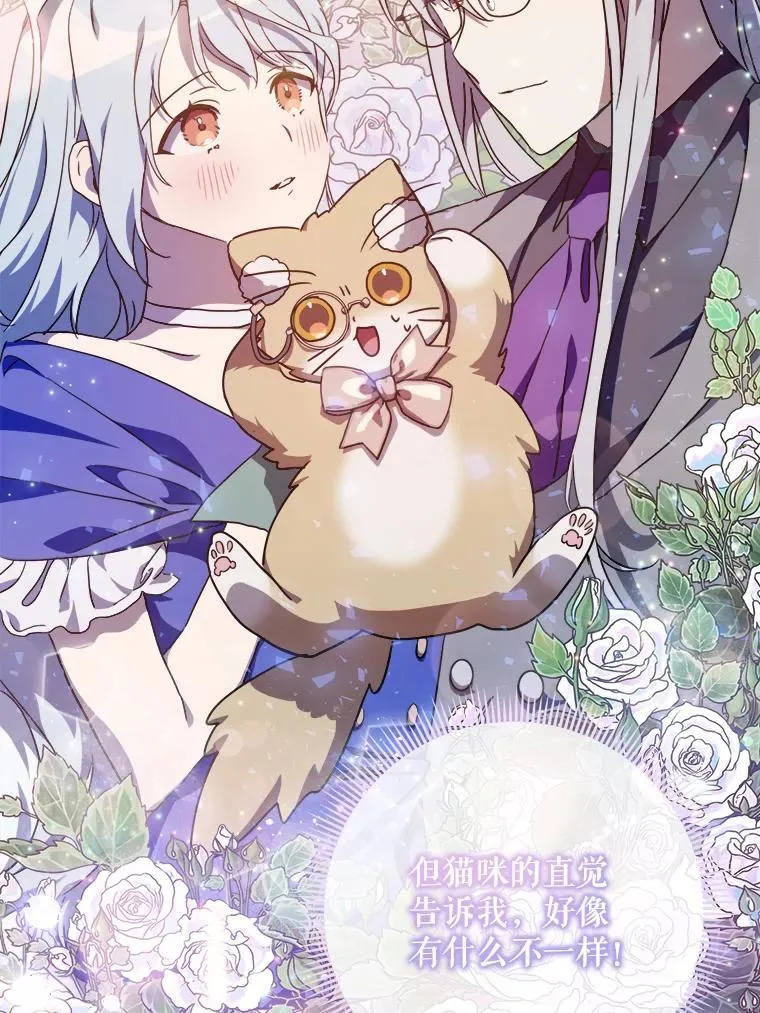 115.智齿2