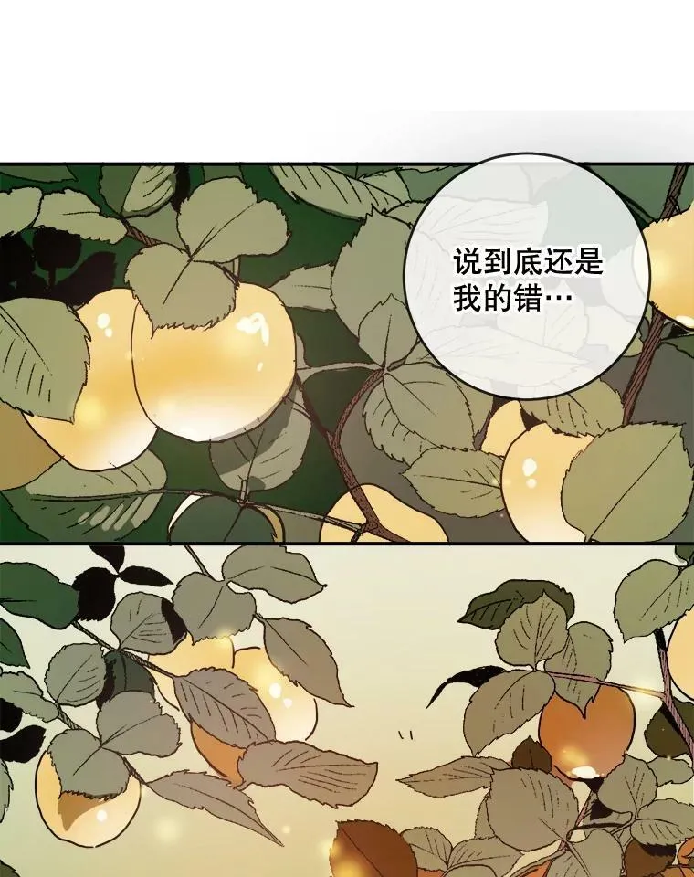 29.伤疤5