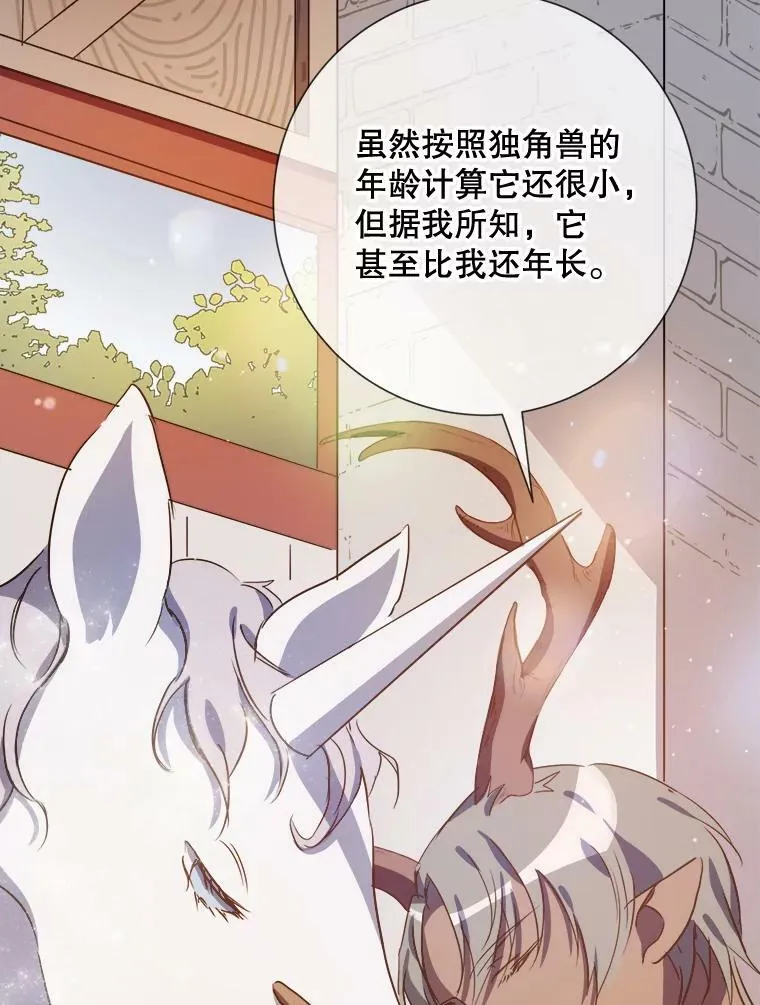 75.独角兽74