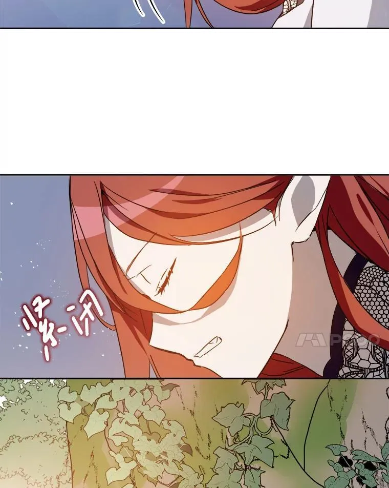 126.容器50