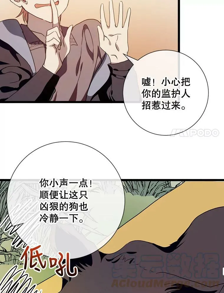 59.精灵族的客人104