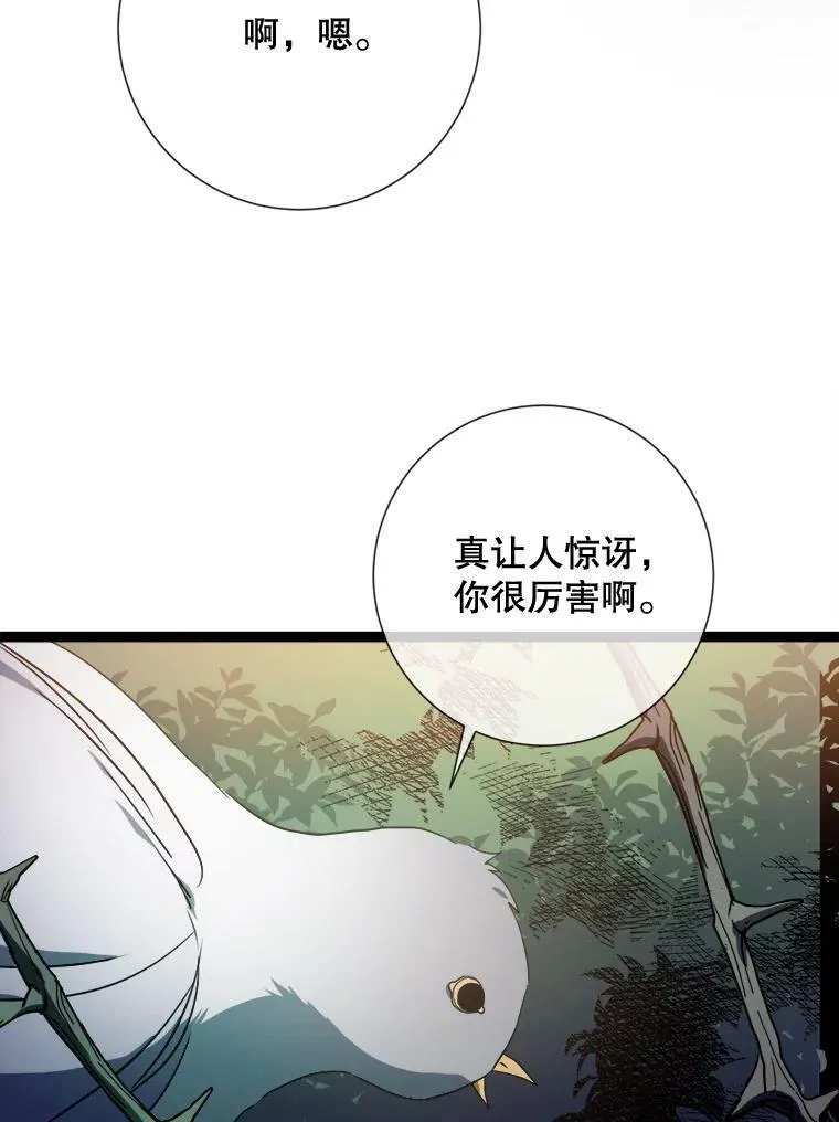 89.奇怪的布谷鸟34