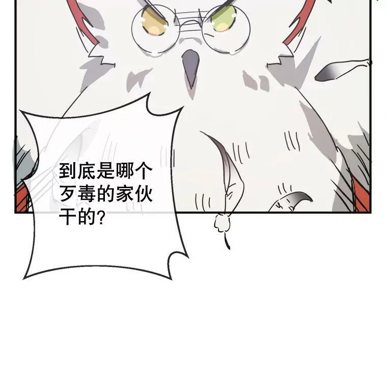 29.伤疤2