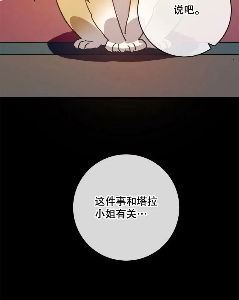 33.书里的秘密（3）80