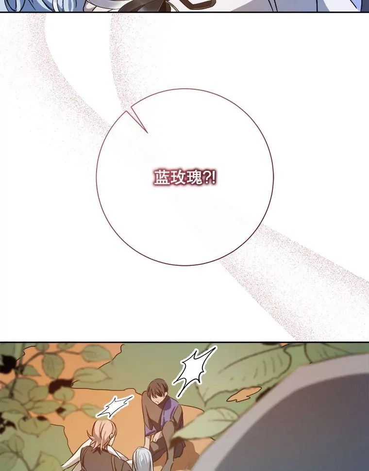 125.不死鸟骑士35
