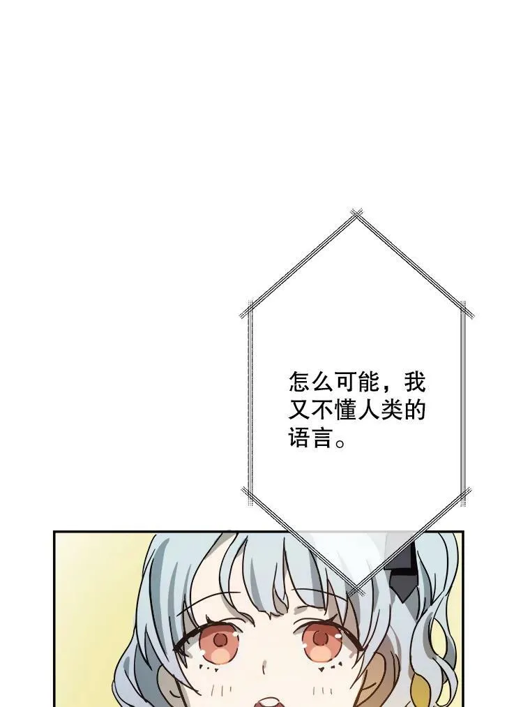 23.会说话的小鸟31