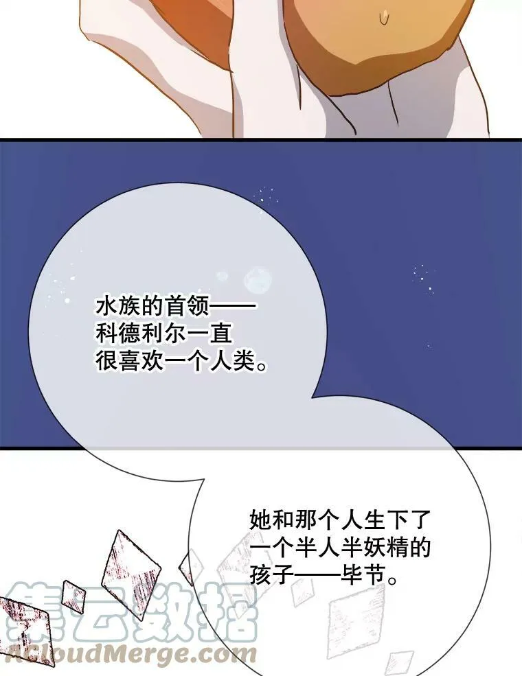 73.水族的故事32