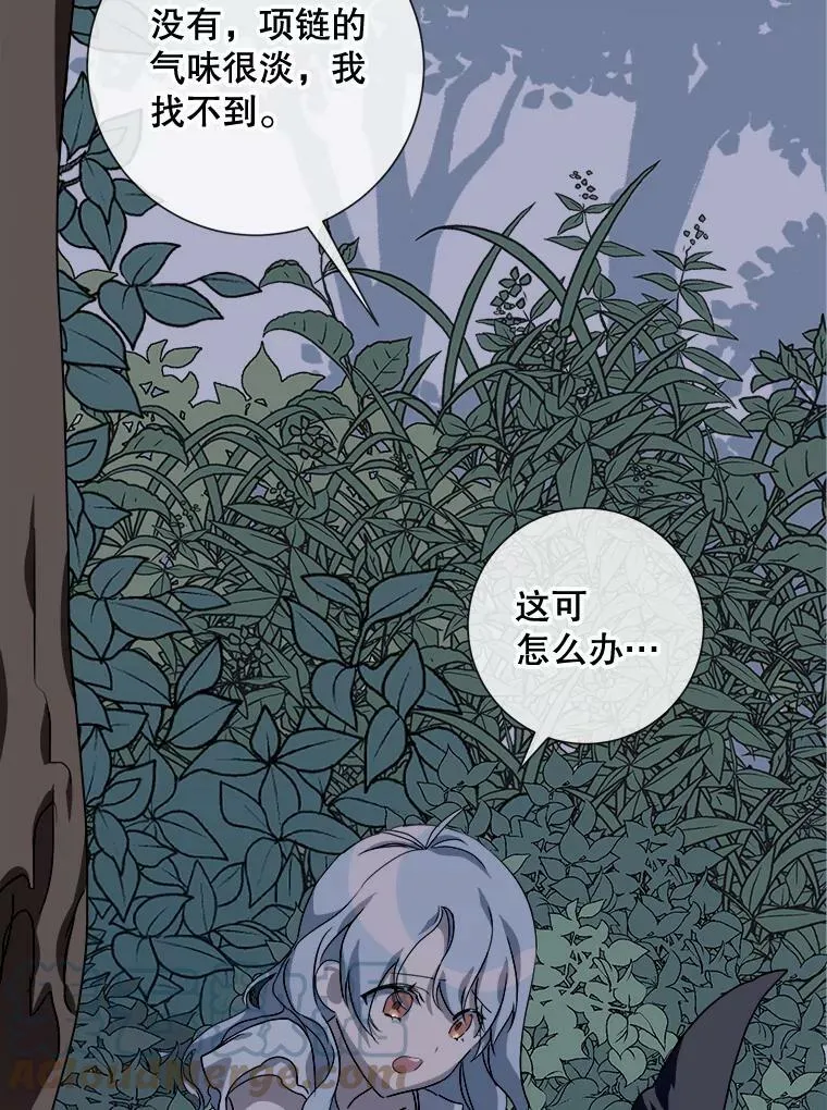 63.丢失的项链68