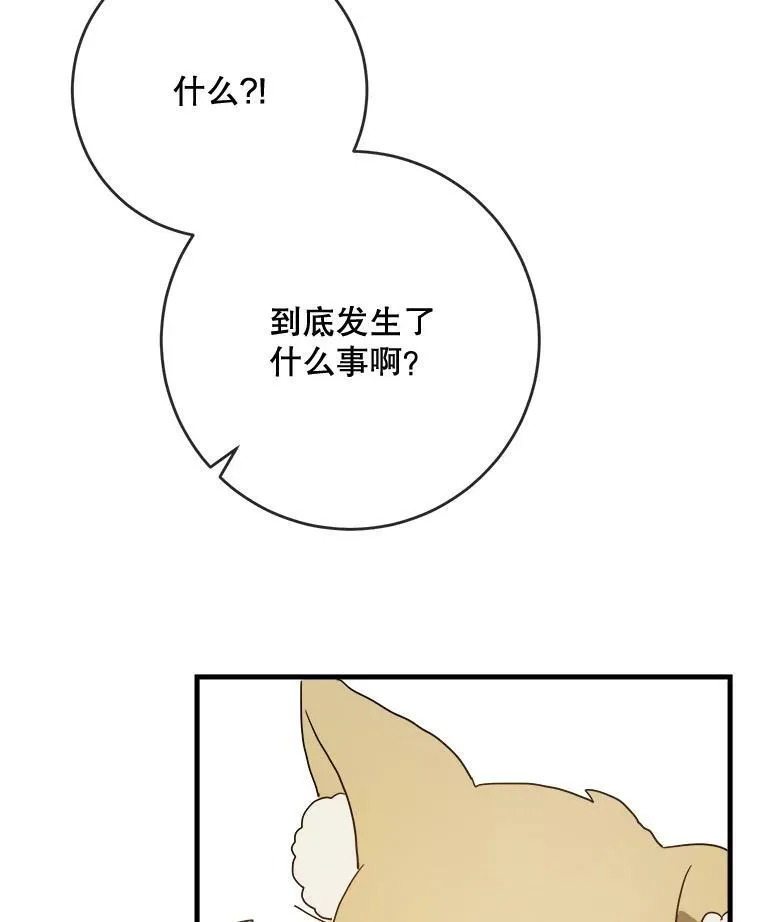 50.正面冲突（3）94