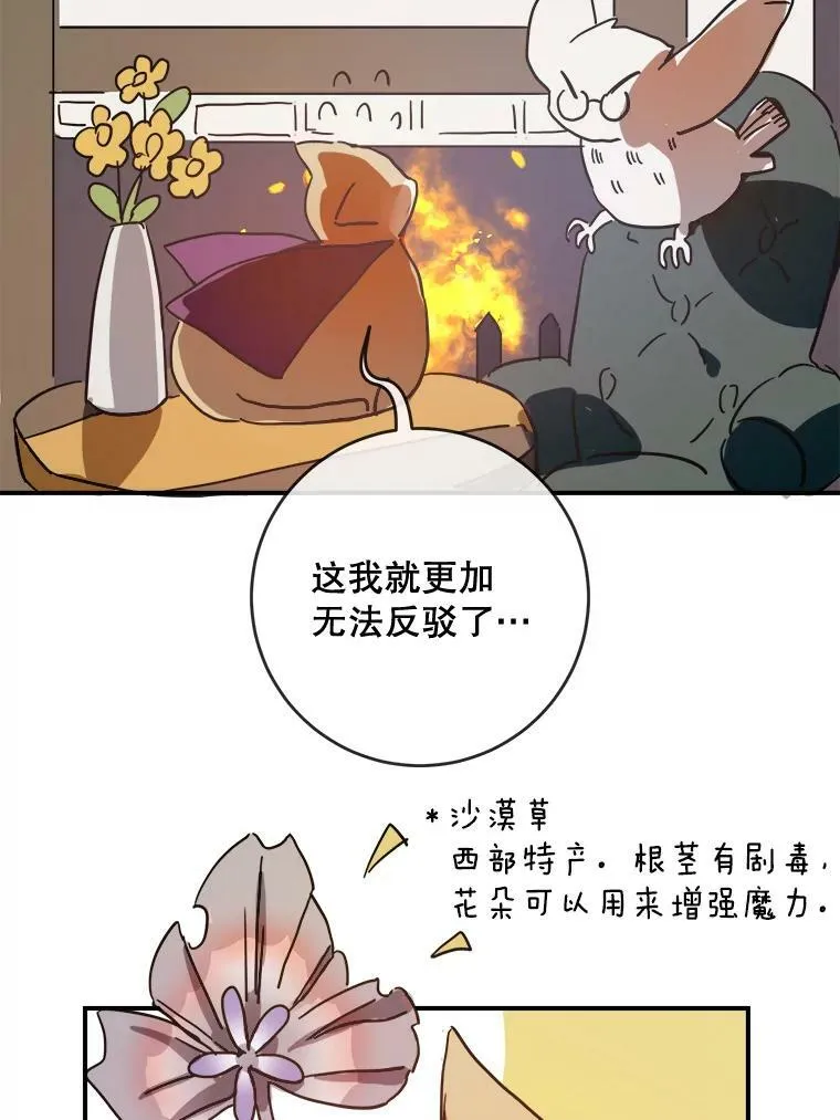 32.书里的秘密（2）37
