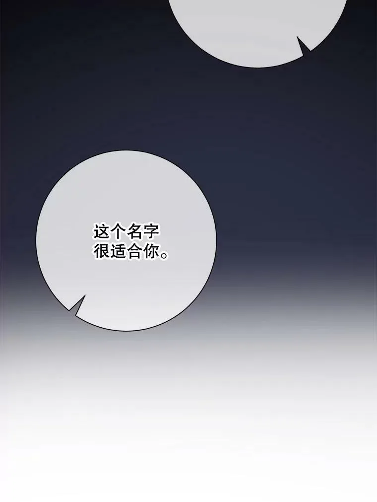 75.独角兽5
