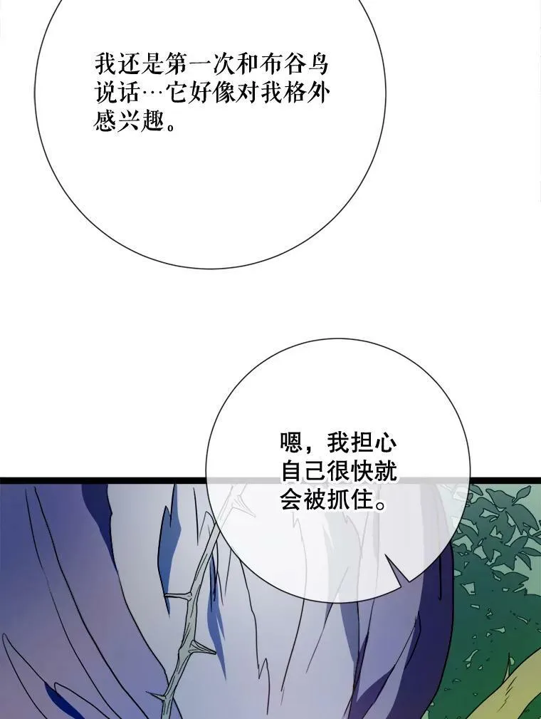 89.奇怪的布谷鸟42