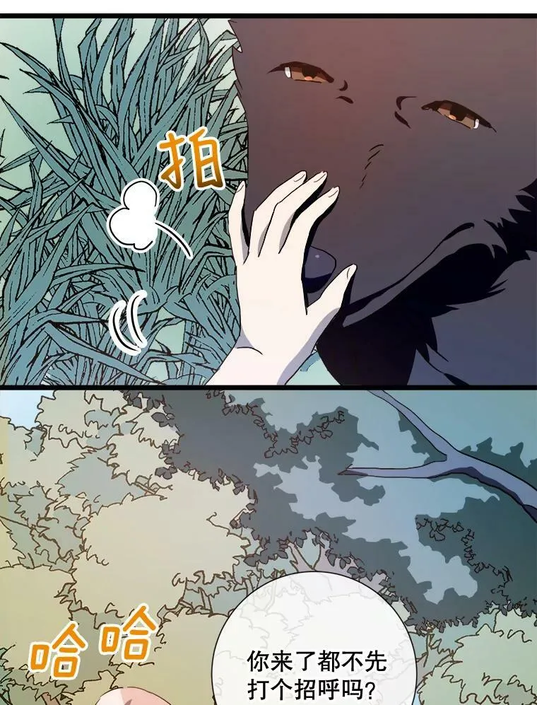 59.精灵族的客人106