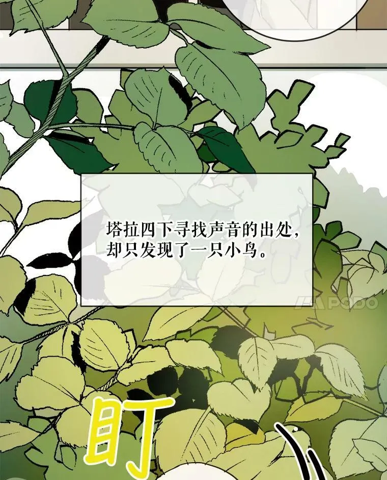 23.会说话的小鸟14