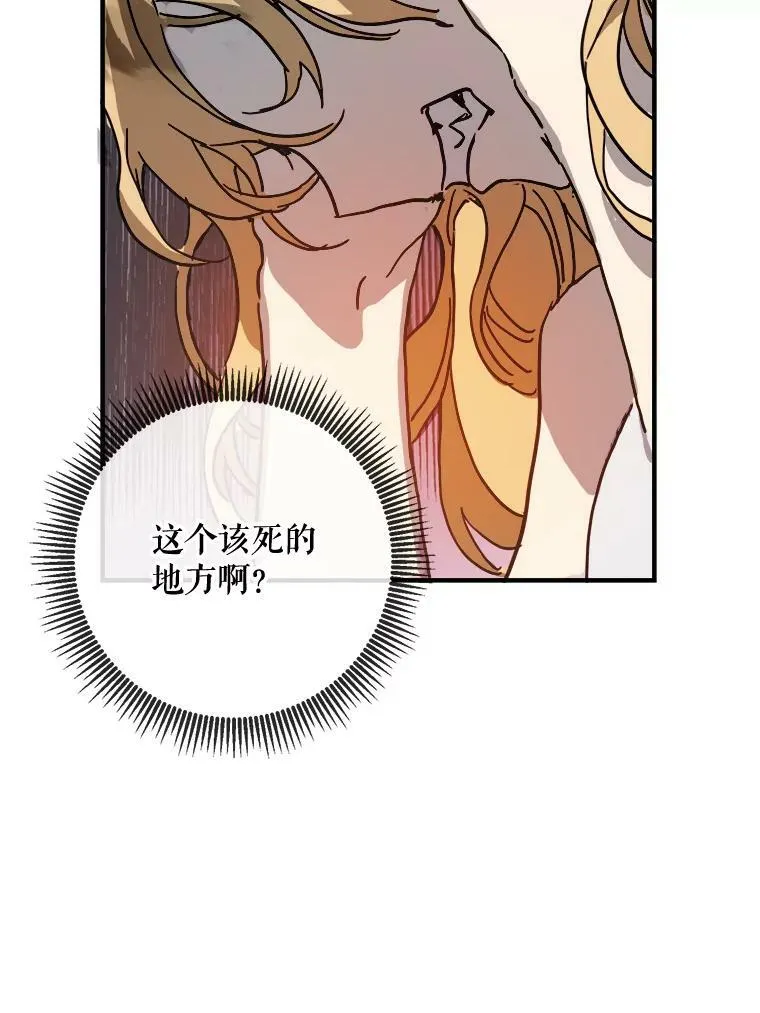 41.寻找塔拉22