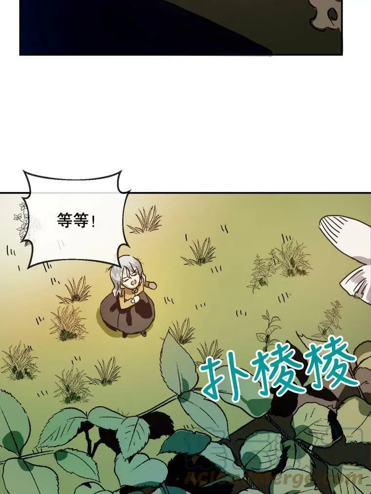 23.会说话的小鸟42