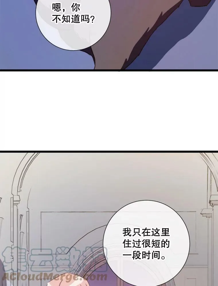 64.丢失的项链（2）52