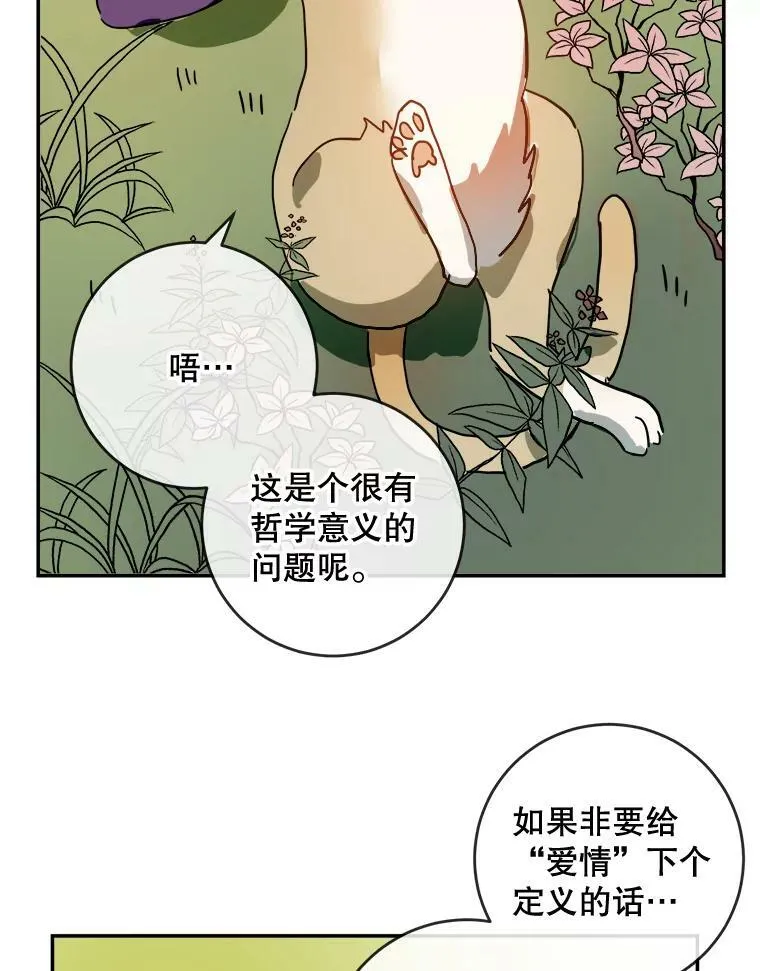 21.无法描述的情感11