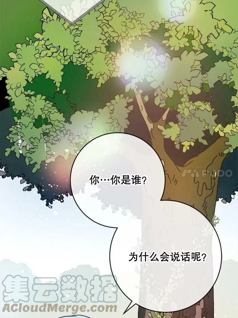 23.会说话的小鸟27