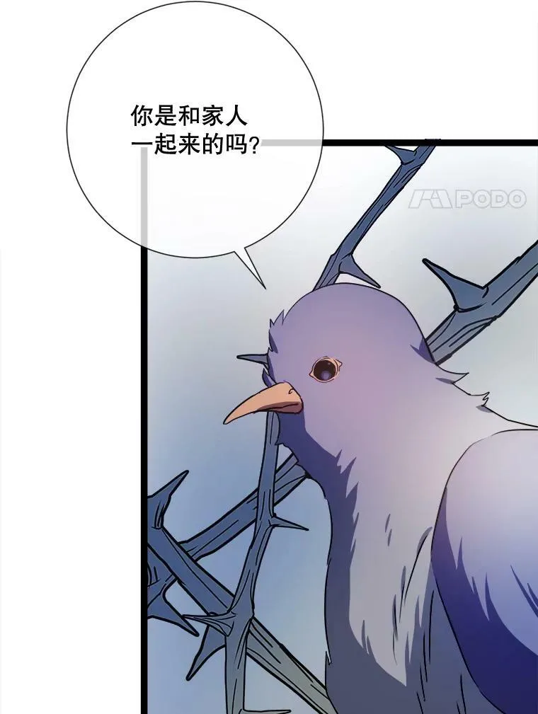 89.奇怪的布谷鸟46
