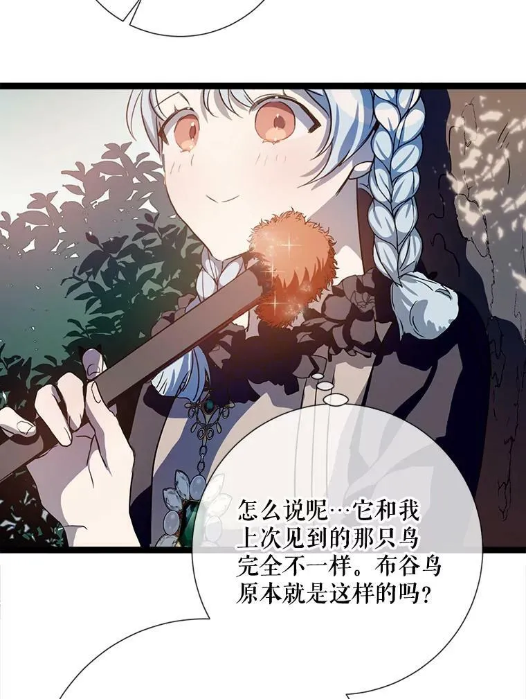 89.奇怪的布谷鸟41