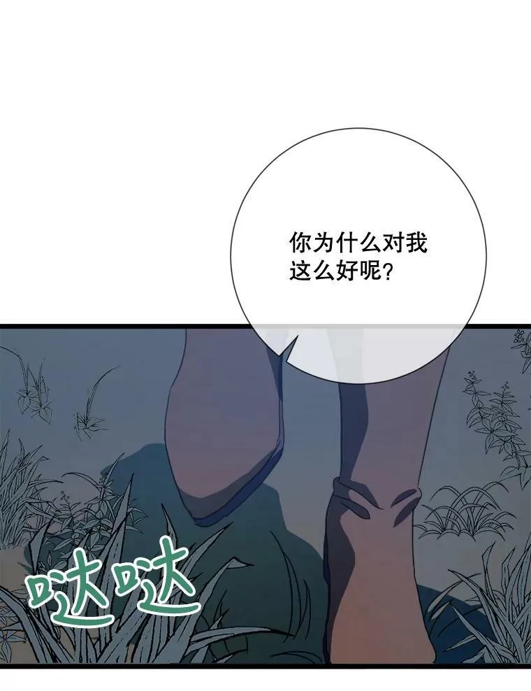 80.城外觅食28