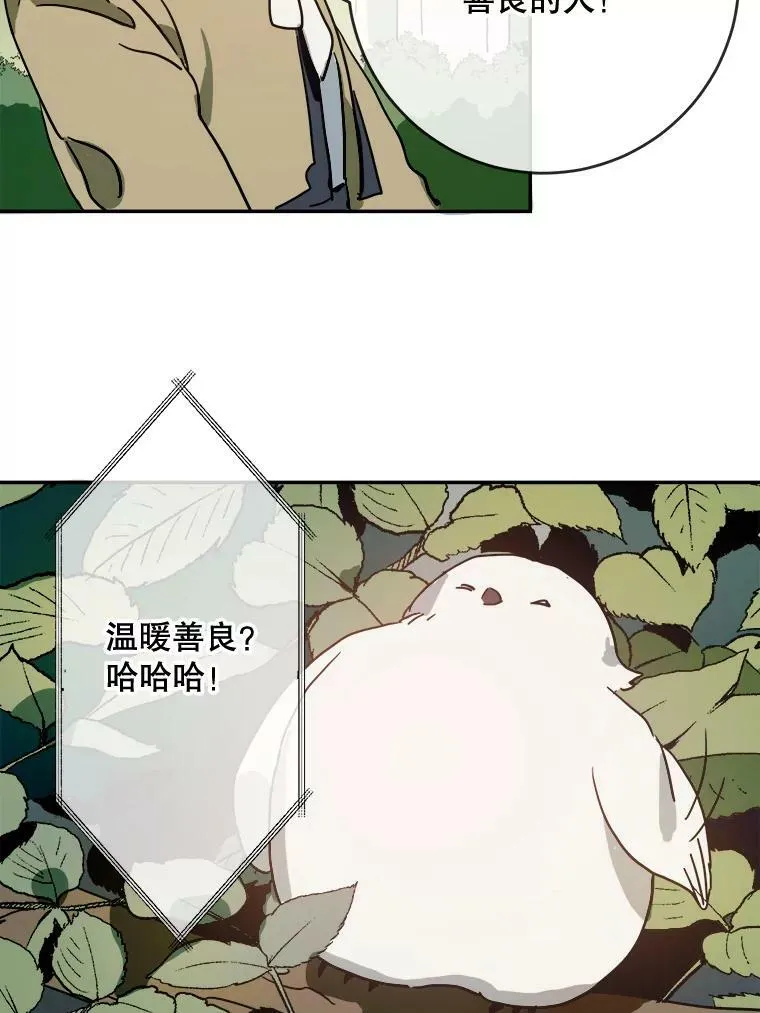 23.会说话的小鸟35