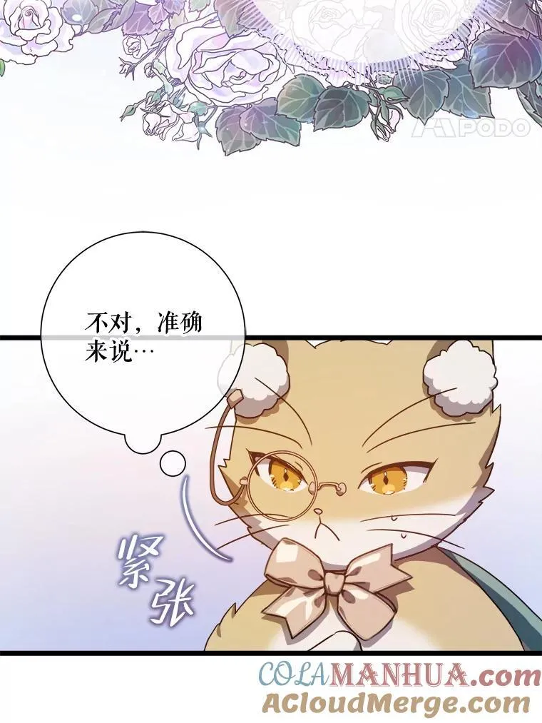 115.智齿3