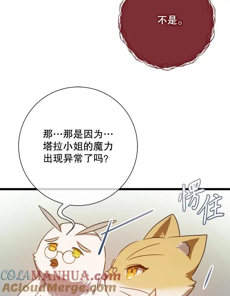 115.智齿84