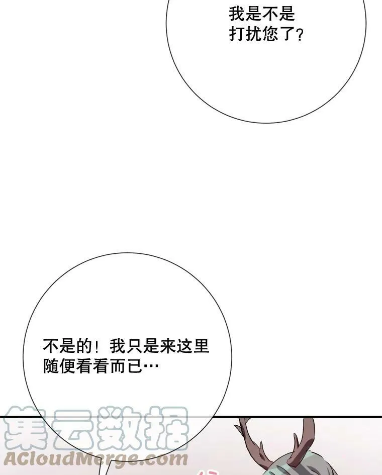 75.独角兽44