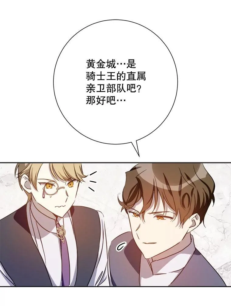 125.不死鸟骑士55