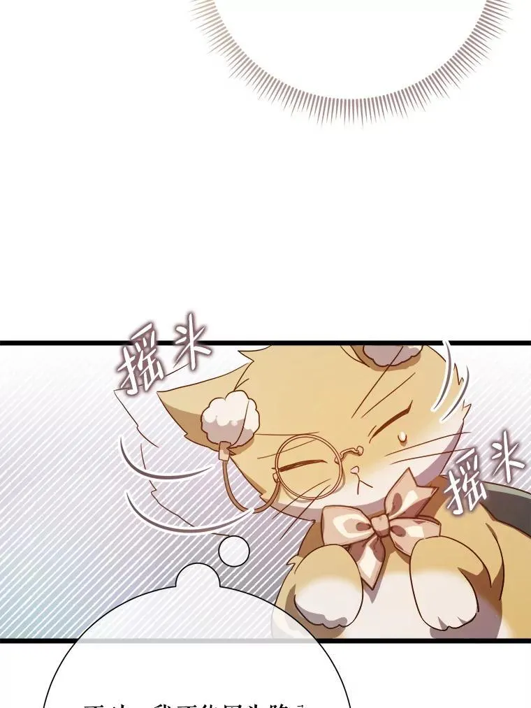 115.智齿11