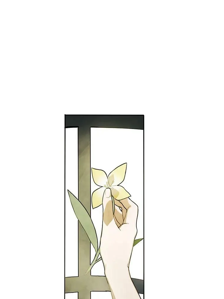 2.陌生的丝绒之城50